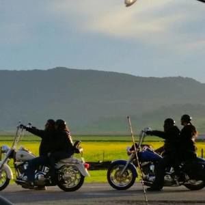 Meet your Posher, Daniel